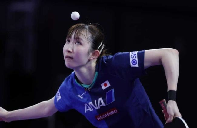 夫斯堡的高 夫斯堡的高